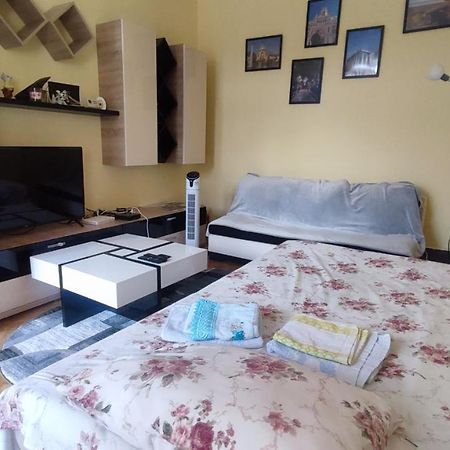 براشوف Robert'S Apartment المظهر الخارجي الصورة