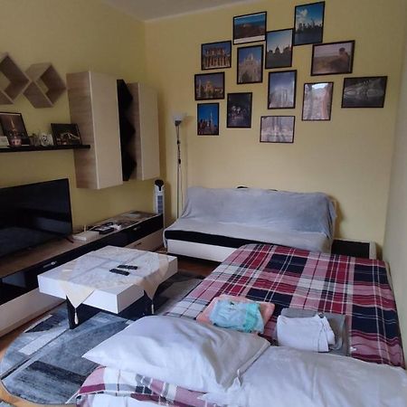 براشوف Robert'S Apartment المظهر الخارجي الصورة